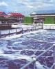Bài giảng Xử lý nước cấp - Chương 3: Quy hoạch tổng thể nhà máy nước