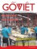 Tạp chí Gỗ Việt - Số 100 năm 2018