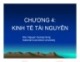 Bài giảng Kinh tế môi trường: Chương 4 - Nguyễn Quang Hồng