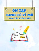 Ôn tập Kinh tế vĩ mô (Tóm tắt kiến thức)