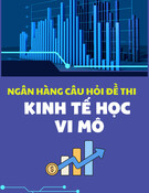 Ngân hàng câu hỏi đề thi Kinh tế học vi mô (Dùng cho hệ đại học và cao đẳng chính quy)